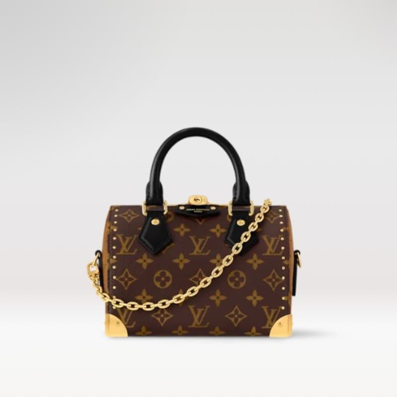 Louis Vuitton bags | speedy 20 handbag |  20×13×11cm | M13146 | 00010