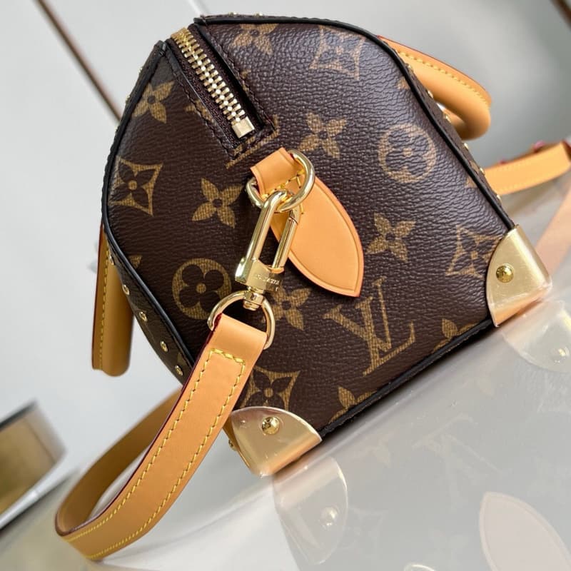 Louis Vuitton bags | speedy 20 handbag |  20×13×11cm | M13146 | 00010