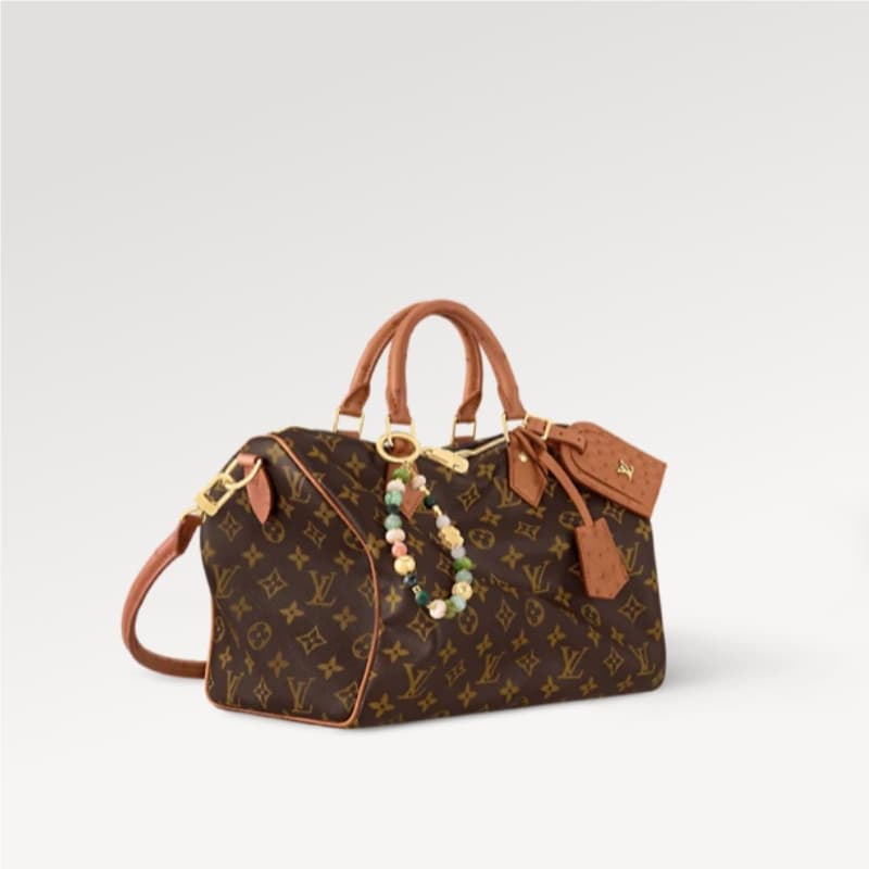 Louis Vuitton bags | LV Bags | SPEEDY SOFT 30 BOHO Handbag |  30 × 21 × 17 cm | N87212 | 00013