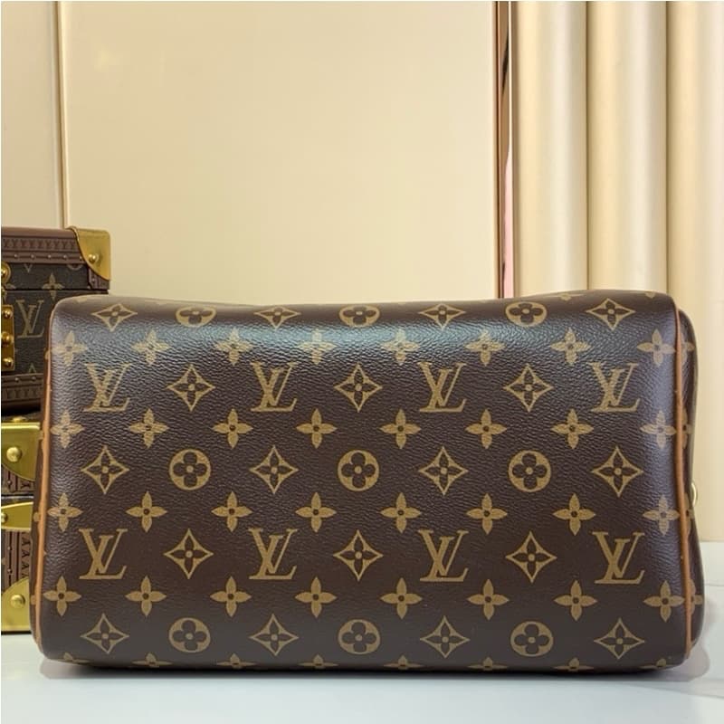 Louis Vuitton bags | LV Bags | SPEEDY SOFT 30 BOHO Handbag |  30 × 21 × 17 cm | N87212 | 00013