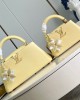 Louis Vuitton bags | LV | Capucines East-West mini handbag |  22 × 12 × 8 cm | M8865/M11351 | 00084