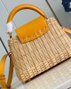 Louis Vuitton bags | LV | Capucines BB handbag |  27 × 17 × 14 cm | M48865 | 00086