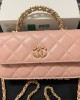 CHANEL bags | 24C | WOC | Phone Case | 16cm | 96044 | 01034