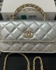 CHANEL bags | 24C | WOC | Phone Case | 16cm | 96044 | 01034