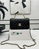 CHANEL bags | Pearl Handle WOC | 19cm | A96055 | 01038