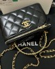 CHANEL bags | 23P | WOC | 17cm | 01044