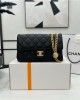 CHANEL bags | 23S | Camellia Adjuster Buckle CF Series | 12×20×6.5cm | AS4041 | 01049