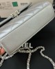 CHANEL bags | 23P | 15×12cm | 01065