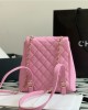 CHANEL bags | 23P | double backpack | 21×20×12 cm | 99235 | 01083