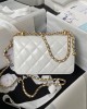 CHANEL bags | 24C | Double Mini Gold Bal | 12×19×8 cm | AS2615 | 01129