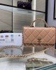 CHANEL bags | 24B Series Bag | WOC Bag | AP4416Y | 19cm | 01164