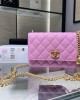 CHANEL bags | 24s WOC Series Bag | AP3201Y | 19cm | 01166