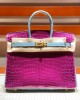 Hermès bags | Birkin bag | 25cm | Crocodile | 02016