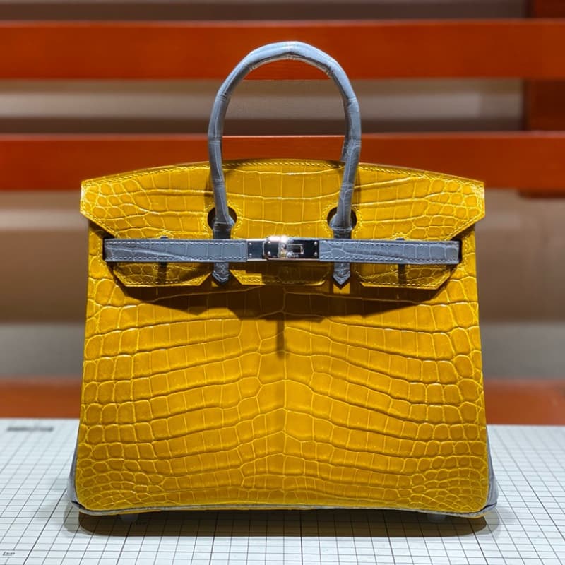 Hermès bags | Birkin bag | 25cm | Crocodile | 02031