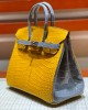 Hermès bags | Birkin bag | 25cm | Crocodile | 02031