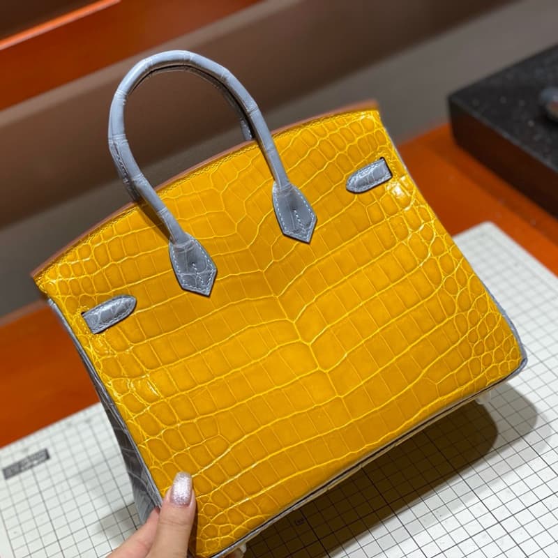 Hermès bags | Birkin bag | 25cm | Crocodile | 02031