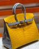 Hermès bags | Birkin bag | 25cm | Crocodile | 02031