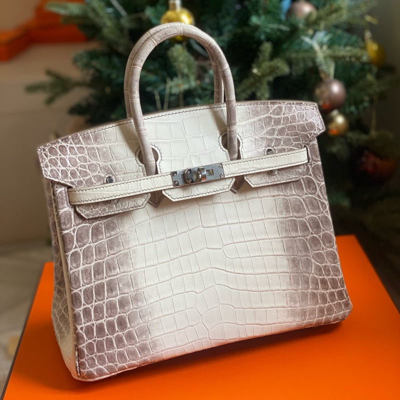 Hermès bags | Birkin | 25cm | Niloticus Crocodile | Himalaya | 02039