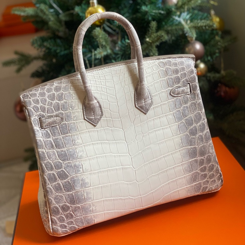 Hermès bags | Birkin | 25cm | Niloticus Crocodile | Himalaya | 02039