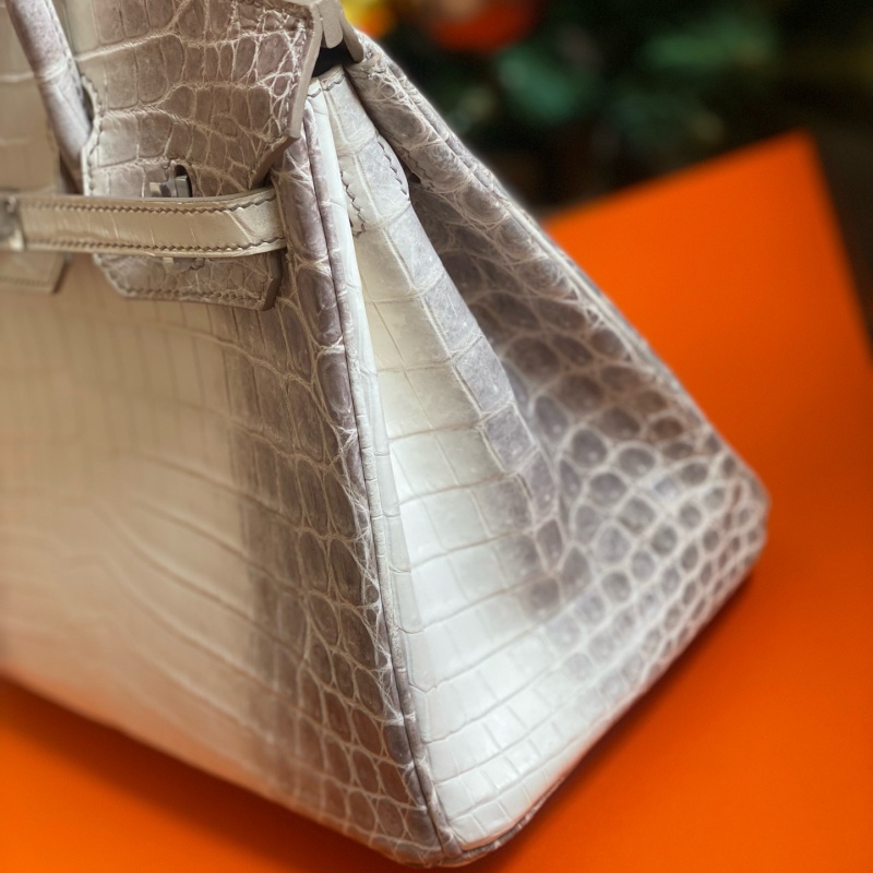 Hermès bags | Birkin | 25cm | Niloticus Crocodile | Himalaya | 02039