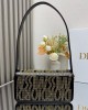 Dior bags | Miss Dior bag | 22× 11 ×6cm | 2610 | 03001