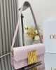 Dior bags | Miss Dior bag | 22× 11 ×6cm | 2610 | 03002