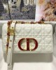 Dior bags | Caro series bag | Dioramour limited collection | 20 × 12 × 7 cm | M9241 | 03017