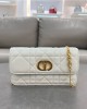 Dior bags | Miss Caro Chain Bag | 19×11×4.5 cm | 5225 | 03020