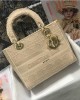 Dior bags | Lady Dior Bag | Christian Dior | 24 cm × 20 cm × 11 cm | M0565 | 03052