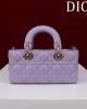 Dior bags | Lady-Joy Bag | 22×12×6.5cm | M0541 | 03065