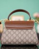 GUCCI bags | GUCCI GG Horsebit 1955 Series Mini Handbag | 22×16×10.5cm | 703848 | 04111