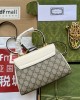 GUCCI bags | GUCCI 1955 new fashion series | 22×16×10.5cm | 703848 | 04112